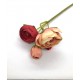 ***kamela pełnik -4 kwiaty kolor vintage czerwień