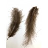 pióra 10-12 cm/50 szt