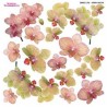 ***folia sospesso S2/06 orchidea