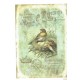 ***papier ryżowy A-6 1406 ptaki z gniazdem vintage