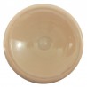 pentart farba akrylowa 100 ml pudrowy ró