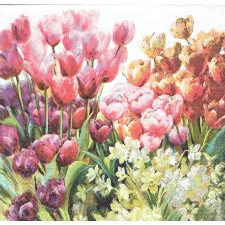 serwetka 33*33 K218 tulipany na białym t