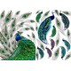***papier soft a-4 D0388M paw
