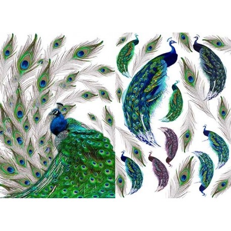 ***papier soft a-4 D0388M paw
