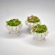 ***mini doniczka z kwiatami 2*2 cm falbanka