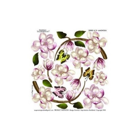 folia sospesso 4/10 magnolia