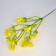 ***kwiat gałązka gipsówka kolor żółty