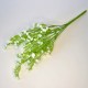 kwiat bukiet gipsówka kolor biały