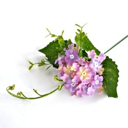 ***kwiat hortensja-mini na piku