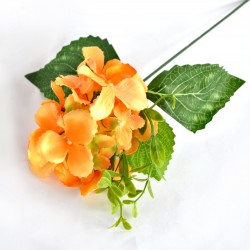 ***kwiat hortensja pastel pomarancz