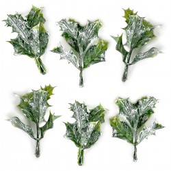 liście ostrokrzewu bielone - 6szt