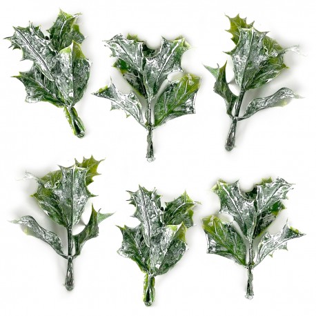 liście ostrokrzewu bielone -3szt