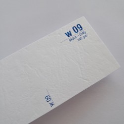 papier wizytówkowy skóra biały W09