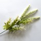 gałązka biała kwiatowo wrzosowa