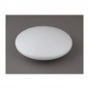 ***medalion styropian 100 mm