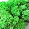 mech chrobotek  zieleń 50 g 