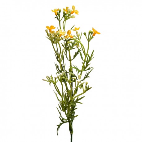 gałązka żółta rozkwitające kwiatki