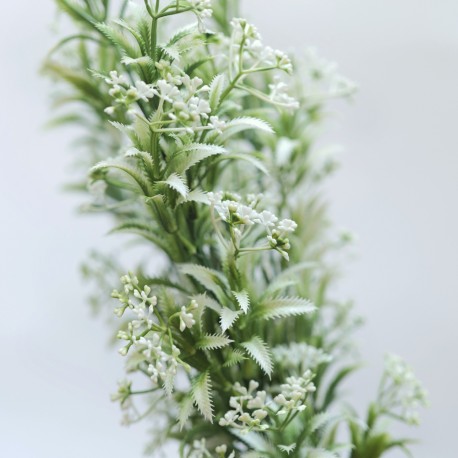 gałązka białe kwiatuszki