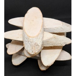 plastry drewniane bielone 10-12 cm opk,10 szt