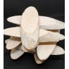 plastry drewniane bielone 10-12 cm opk,10 szt