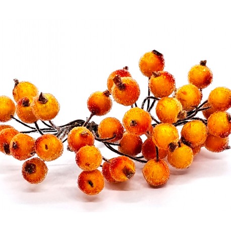 jarzębina pomarań-czerw. oszroniona  1cm/40 szt