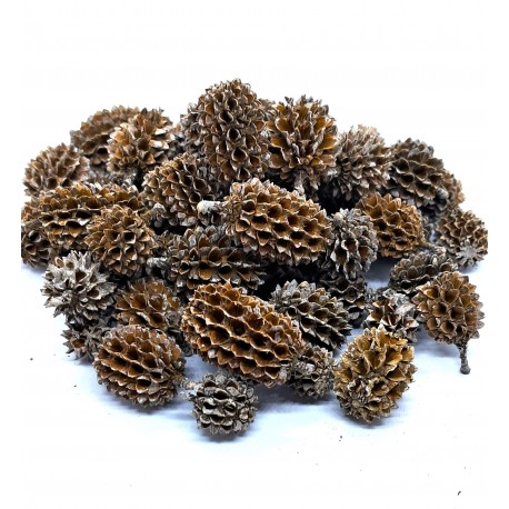 szyszka bielona 1,2-2 cm opk.