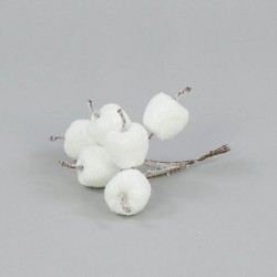jabłuszka biale szronione 2,5 cm/6 szt