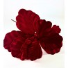 welurowy kwiat bordo