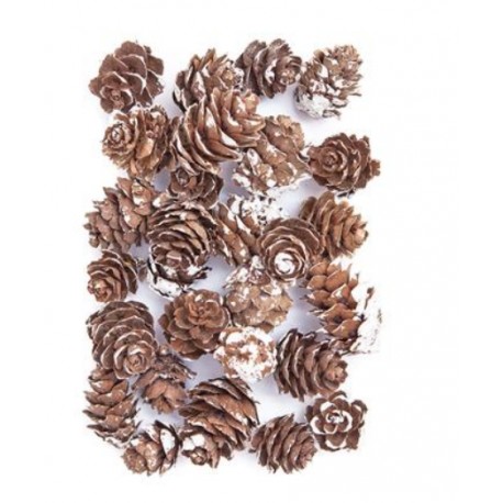 szyszki naturalne wybielane 25g