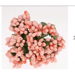 kaszka ryżyk łososiowa