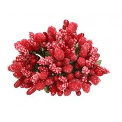 kaszka ryżyk czerwień świąteczna