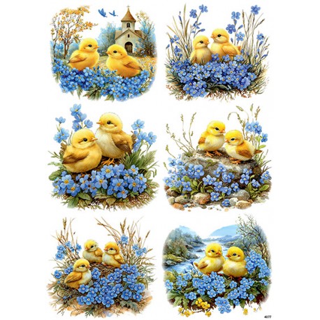 papier ryżowy A-4 4077 kurczaki,niezapominajki