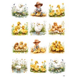 papier ryżowy A-4 3549 kurczaki, kaczuszki