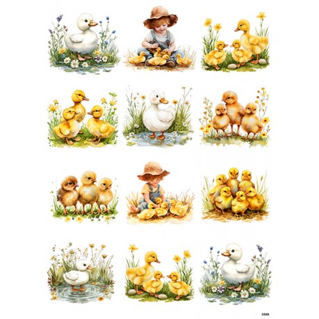 papier ryżowy A-4 3549 kurczaki, kaczuszki