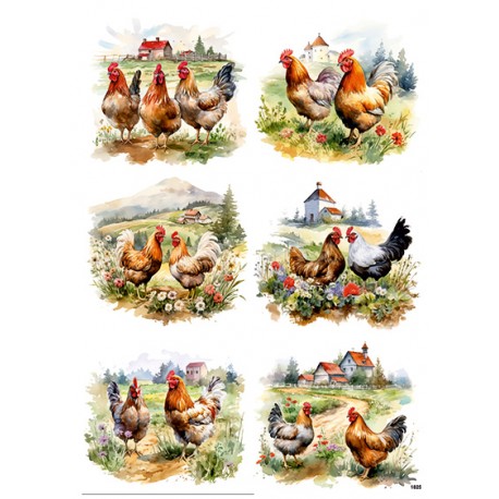 papier ryżowy A-4 1825 kury na wybiegu