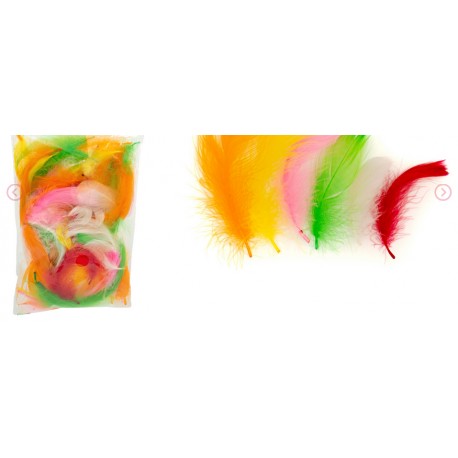 piórka multi kolor  2 gr