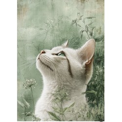 papier ryżowy A-5 8344