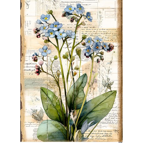 papier ryżowy A-5 12144 niezapominajki