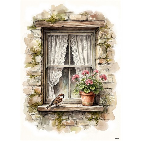 papier ryżowy A-5 19396 okno,pelargonia