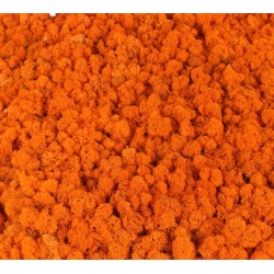 mech chrobotek  orange- 60g opk.