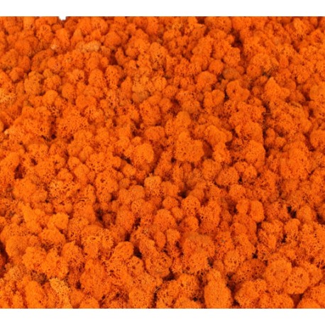 mech chrobotek  orange- 60g opk.