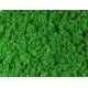 mech chrobotek zieleń 60g premium