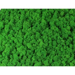 mech chrobotek zieleń 60g premium