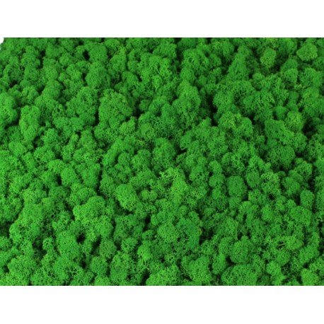 mech chrobotek zieleń 60g premium