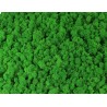mech chrobotek zieleń 60g premium