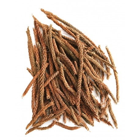 szyszki długie opk.125g