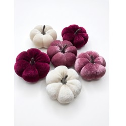 dynie aksamitne bordo,biel 7 cm opk.6 szt
