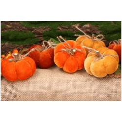 dynie aksamitne odcień pomarańczy 7 cm opk.6 szt