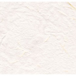 stamperia papier ryżowy DFT B 50*50 biały