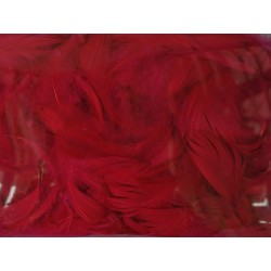 pióra w pudełku kolor bordo